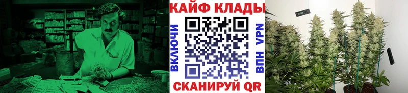 Цена Зеленоградск МДМА  Мефедрон  Alpha-PVP  ГАШИШ  Cocaine  МАРИХУАНА 