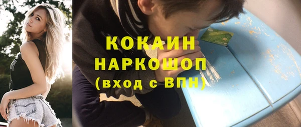 сатива Балахна
