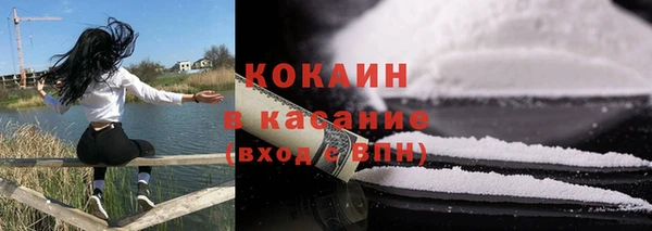 сатива Балахна