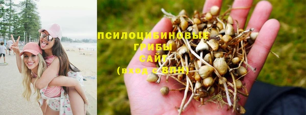 сатива Балахна